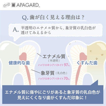 Apagard Premio Extra Mint Whitening Toothpaste (100g) & Dental Lotion (5ml) - Japanese Toothpaste