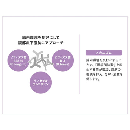 Attenir Inner Smart Supplement 90 Tablets for Weight and Body Fat Reduction