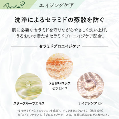 Attenir Citrus Verbena Body Soap 500ml Refreshing Forest Scent