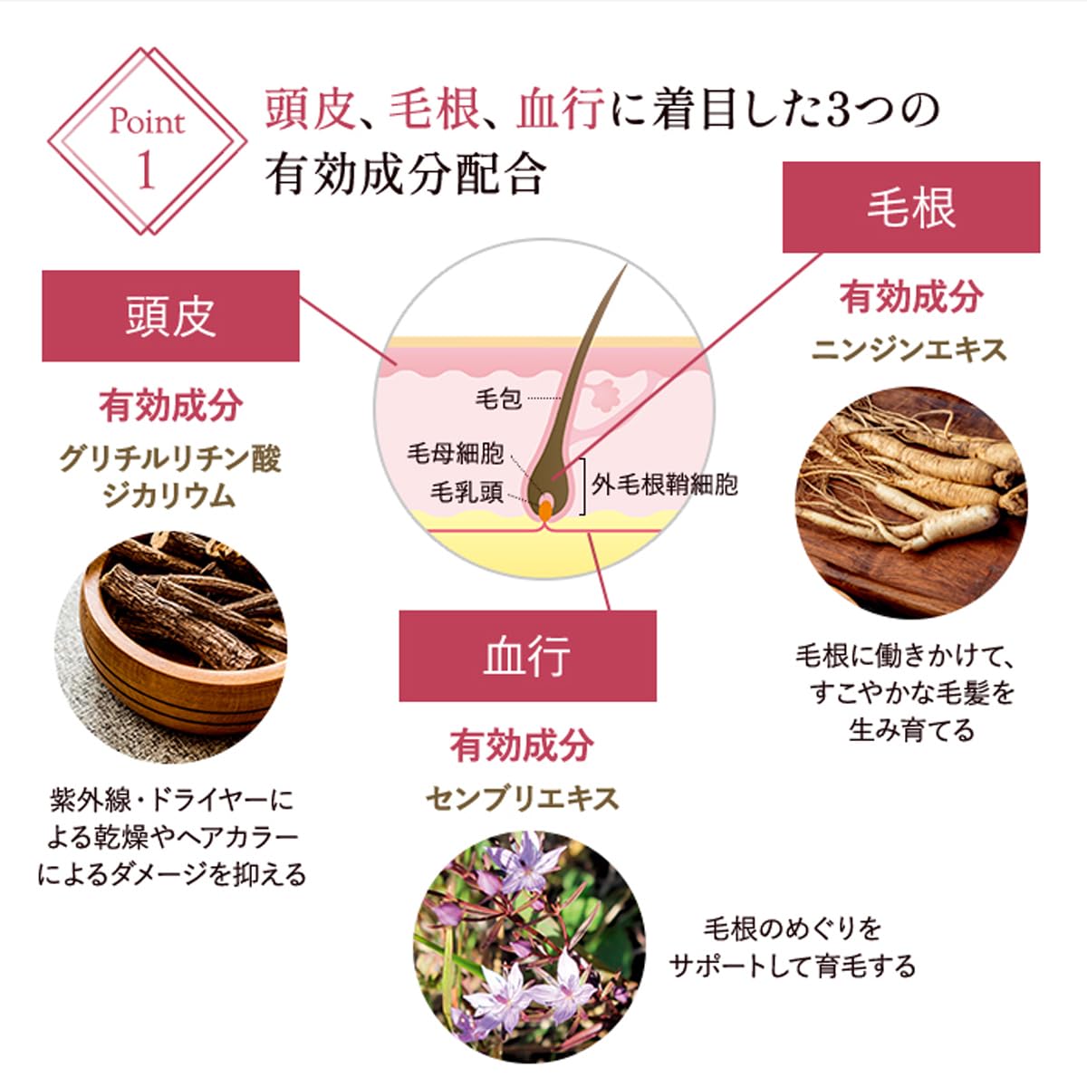 Attenir Scalp Essence 100ml: Women's Hair Growth & Care Serum 1.5-2 Month Supply