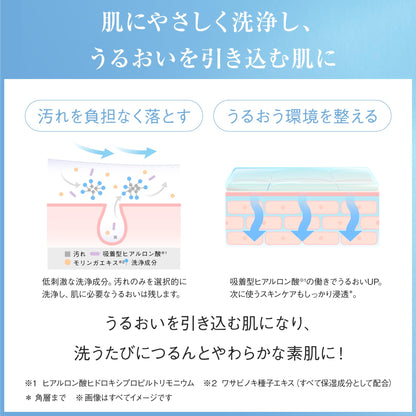 Ayura Foaming Facial Cleanser 120g Gentle Face Wash Foam