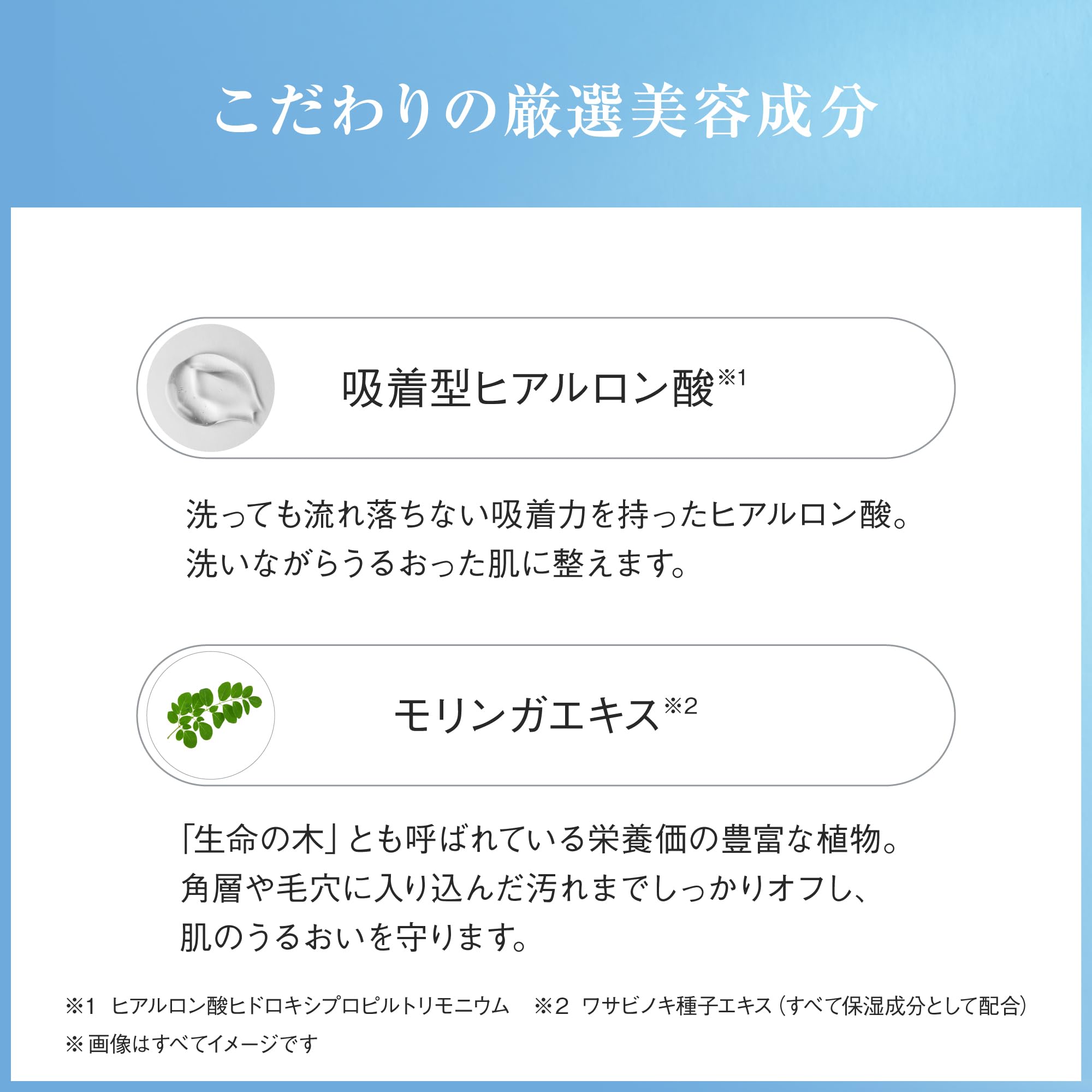 Ayura Foaming Facial Cleanser 120g Gentle Face Wash Foam