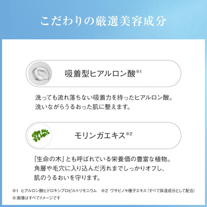 Ayura Foaming Facial Cleanser 120g Gentle Face Wash Foam