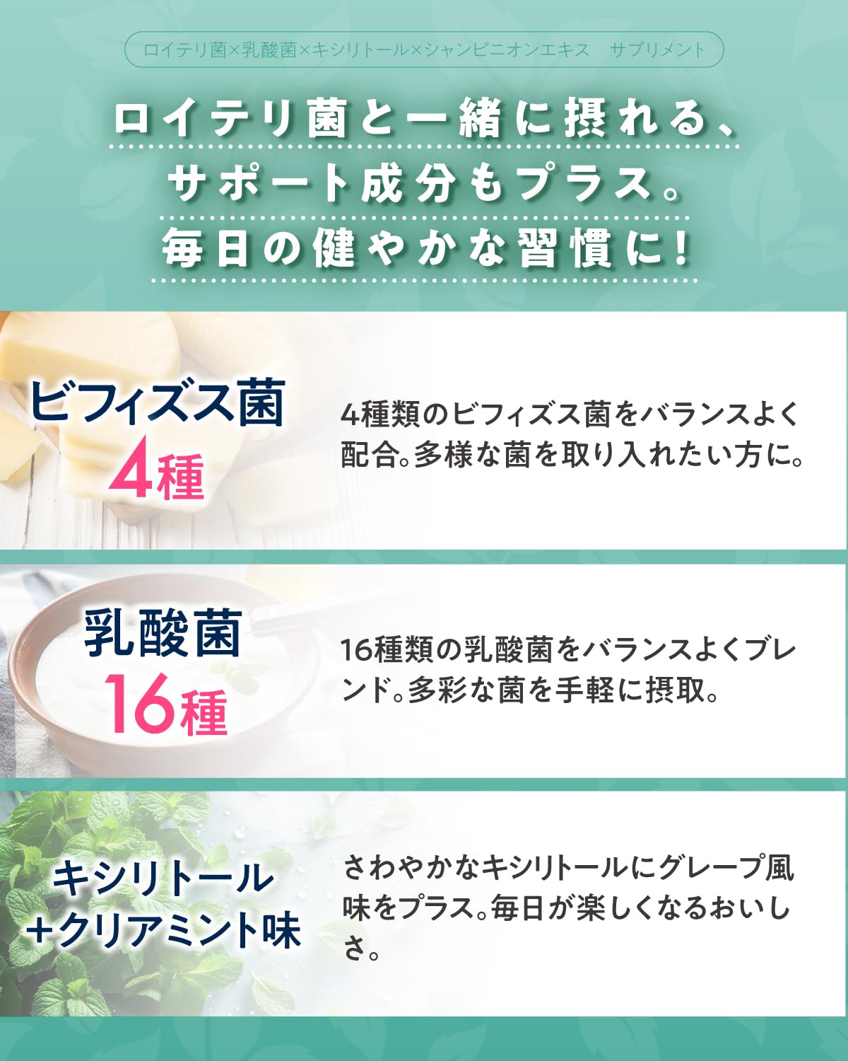 Asahi Group Foods Bifilal Supplement with 36B L Reuteri Probiotics Mint 30-Day