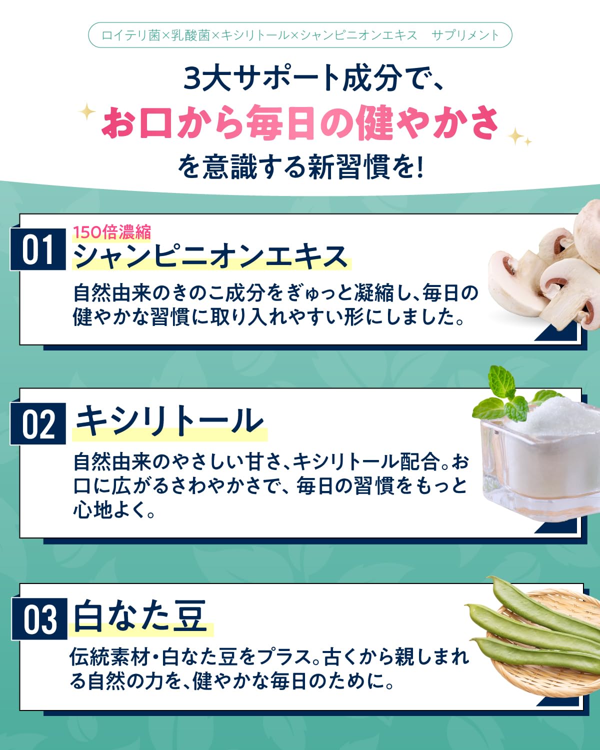 Asahi Group Foods Bifilal Supplement with 36B L Reuteri Probiotics Mint 30-Day