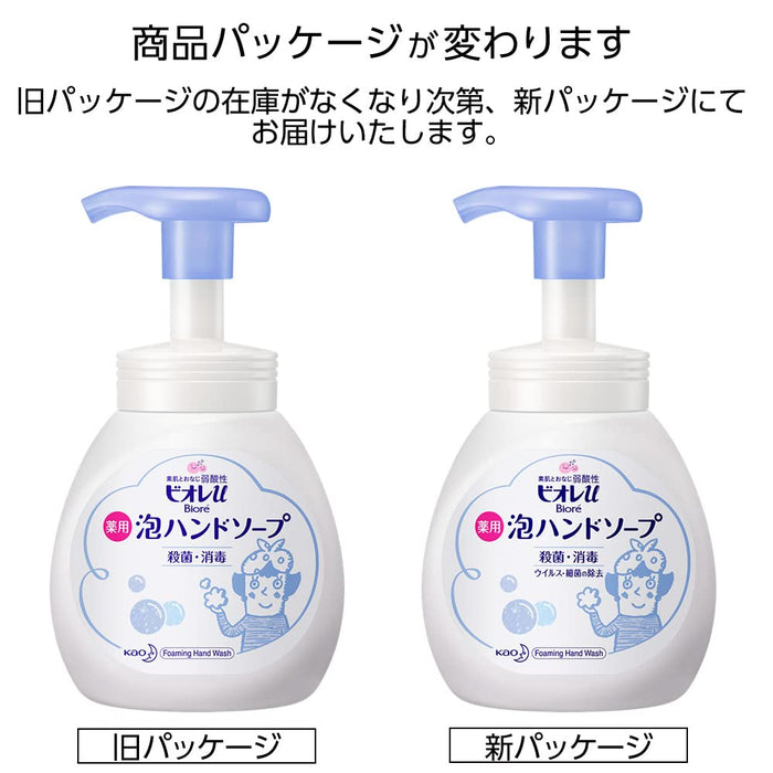 Biore U Foaming Hand Soap Pump 250Ml | Gentle & Effective Cleanser