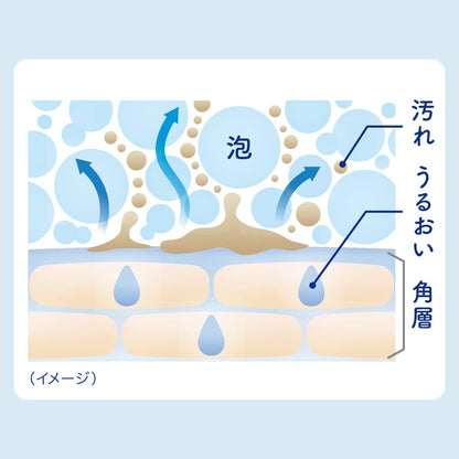 Biore U Hand Foaming Soap Refill Botanical Herb Scent 700ml