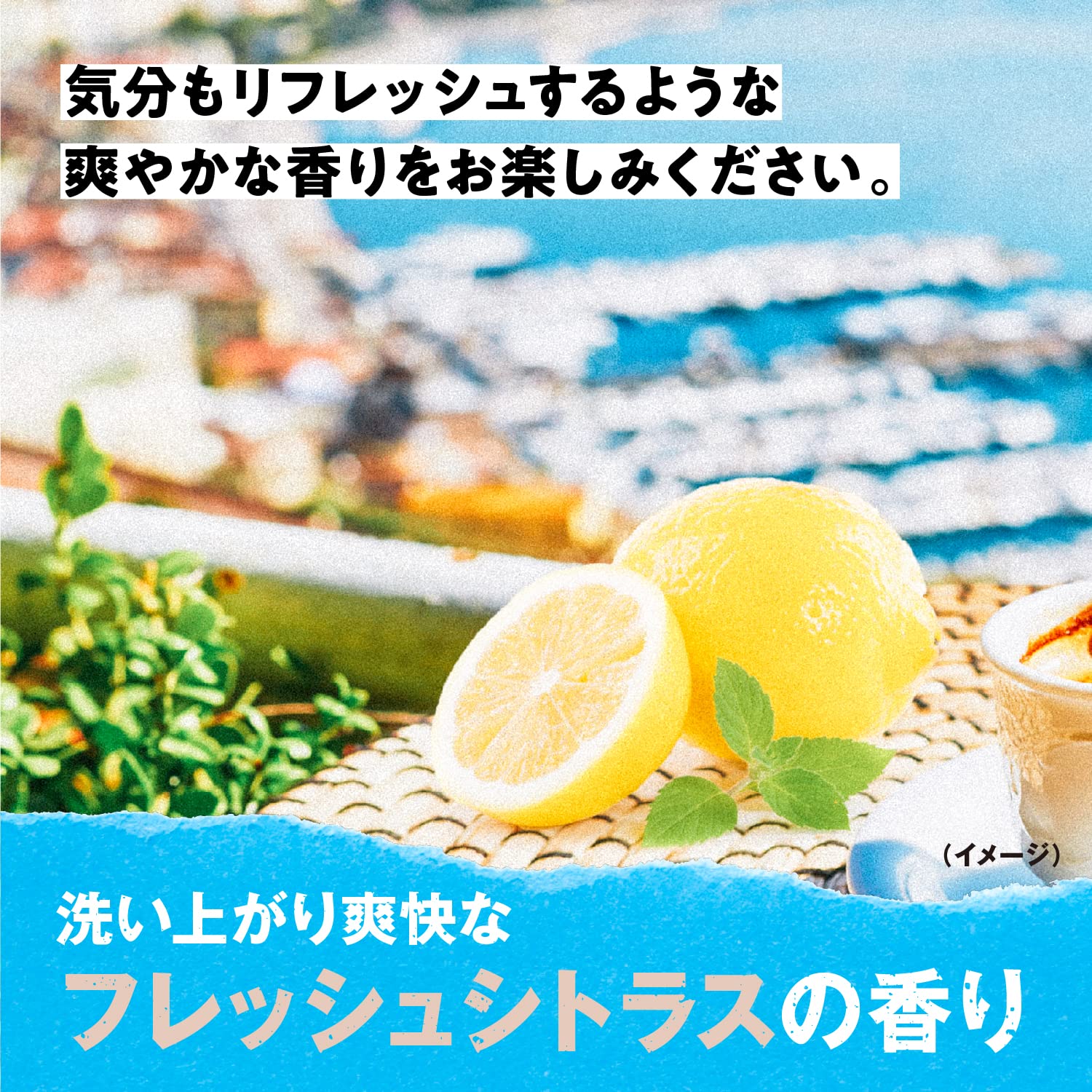 Black Wolf Refresh Scalp Shampoo 380ml | Citrus Scent with Herbal Extracts