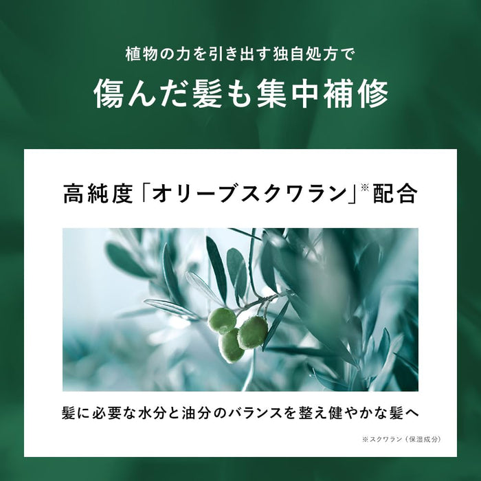 Botanist 植物損傷護理髮油 80 毫升鳶尾和漿果香味