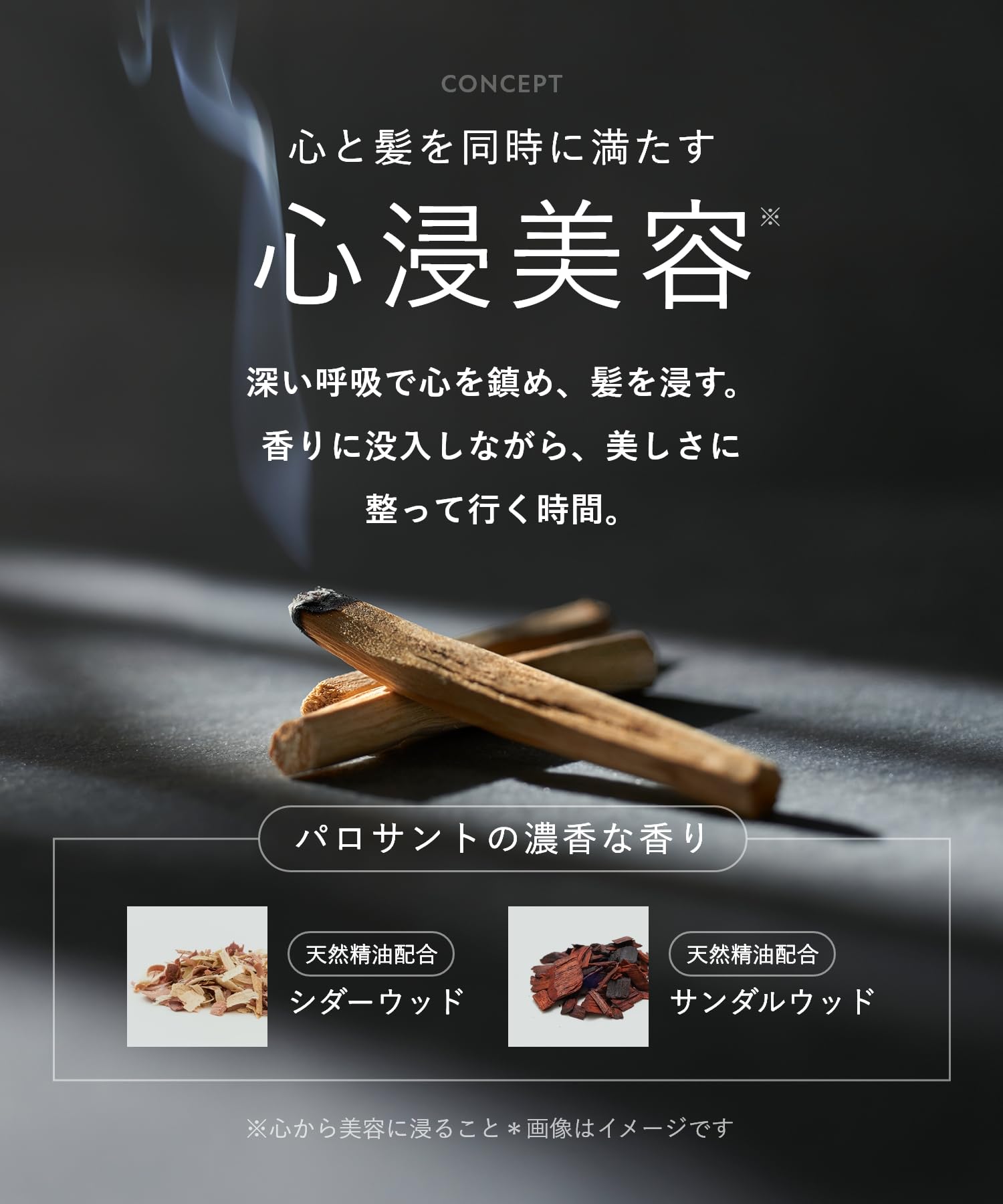 Botanist Santal Repair Hair Oil for Nourishing and Revitalizing Hair