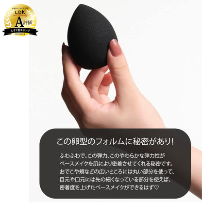 Brilliage Technical Blender with Case by Chiaki Shimada for Beginners Foundation