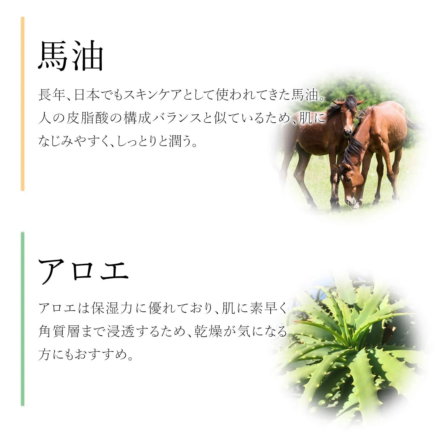 Buhna Horse Oil and Aloe Moisture Cream 250g - Japanese Moisturizing Cream