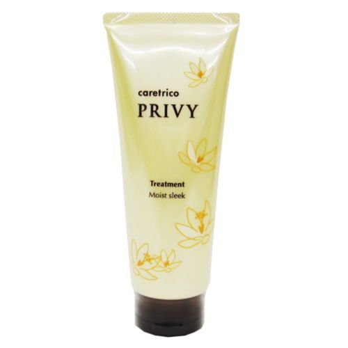 Caretrico Privy Moist Sleek Treatment 210G - Professional Hair Care Solution