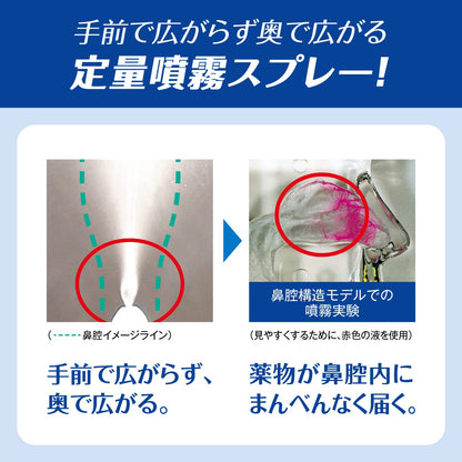 Pablon Nasal Spray 30ml - Fast Relief [Class 2 OTC Drug]