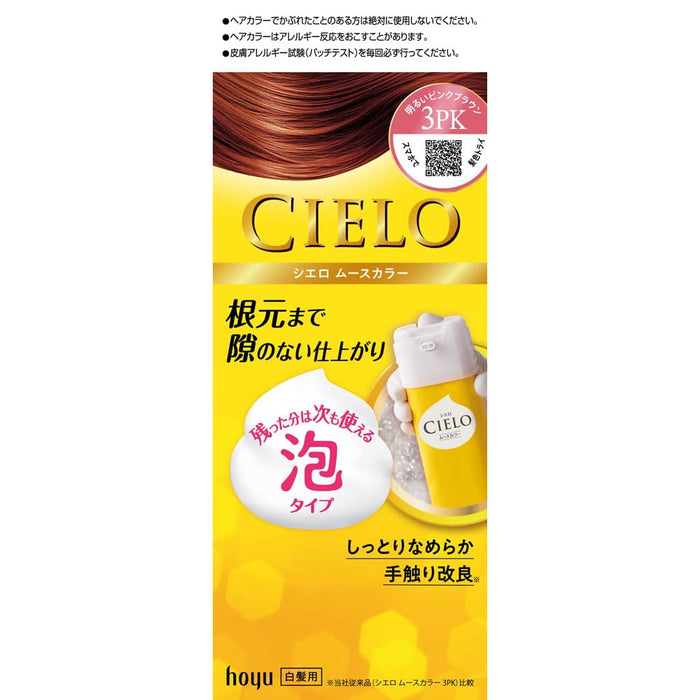 Cielo Mousse Color Gray Hair Dye 3 Pack - Long-Lasting Salon Quality