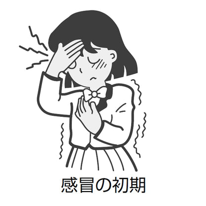 Kracie Kampo Kakkonto Extract Tablets - 120 Count | [Class 2 OTC Drug]