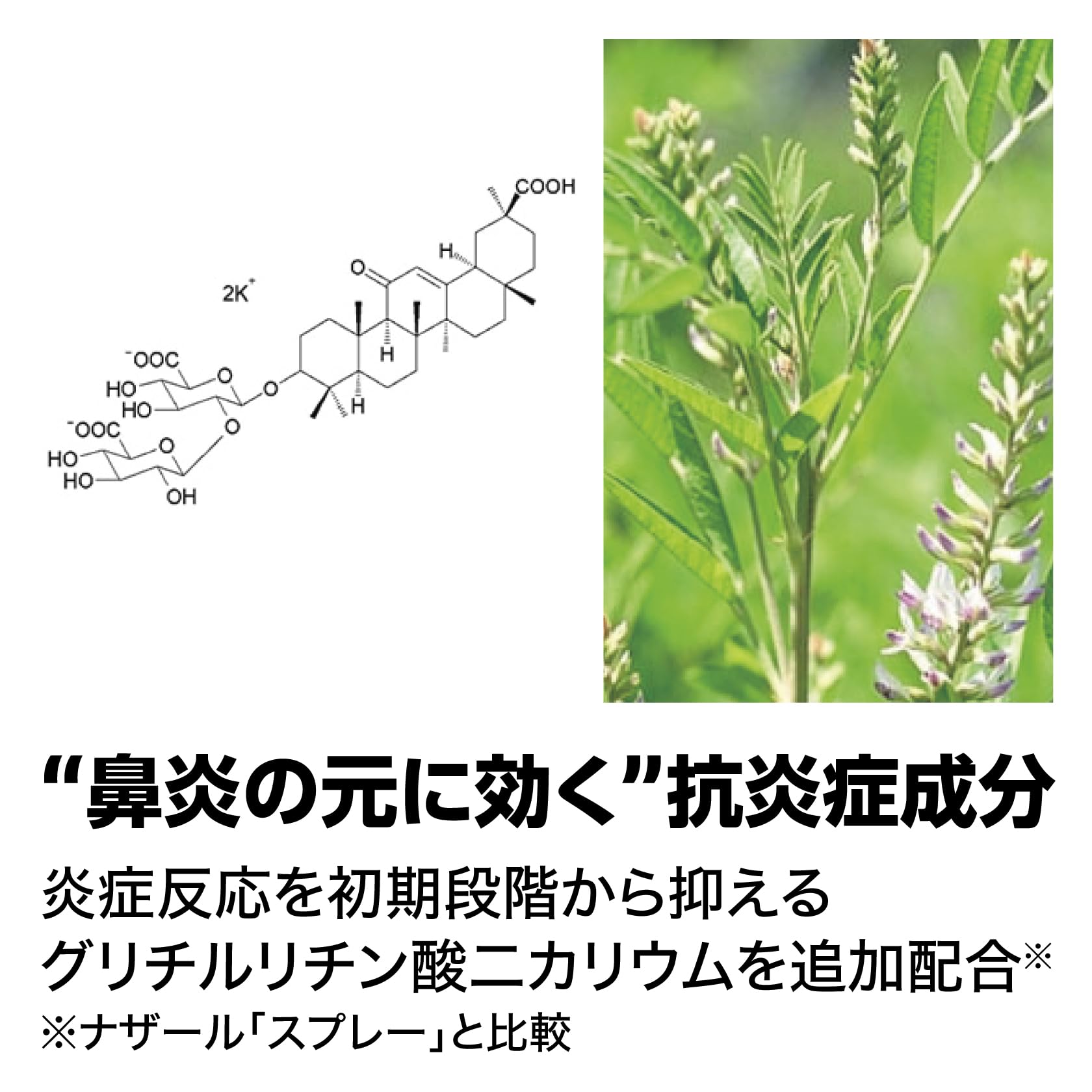 Sato Pharmaceutical Nazal G Spray 30Ml - Fast Relief Nasal Decongestant