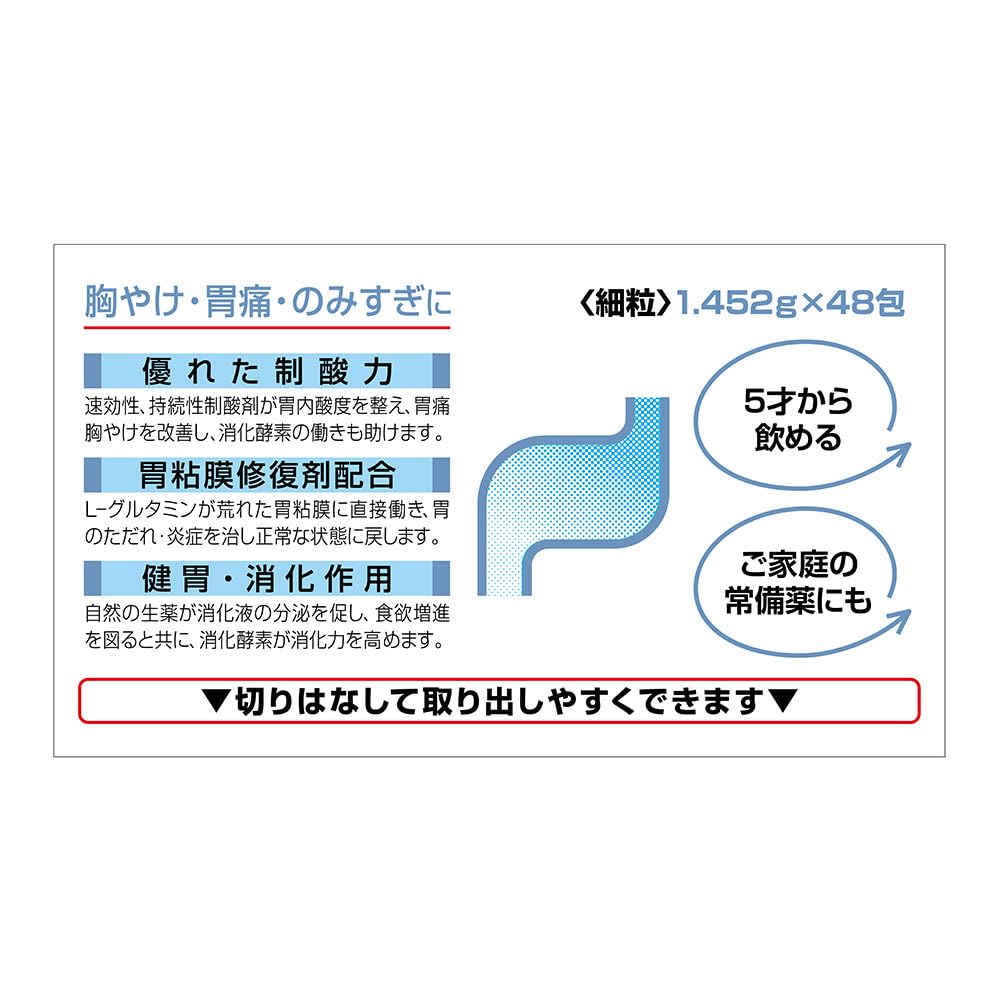 Pansilon G [Class 2 OTC Drug] 48 Packets - Effective Health Solution