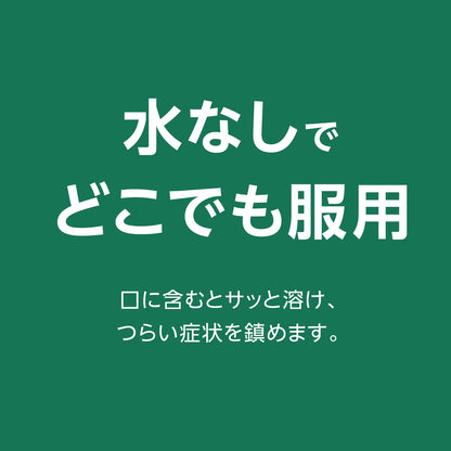 Sato Pharmaceutical Stonarini Sat 24 Tablets Allergy Relief Drug