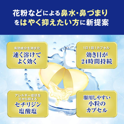 Stonarini Z Gel 24 Capsules by Sato Pharmaceutical - [Class 2 OTC Drug]