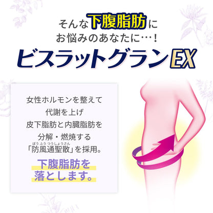 Bislat Gran Ex Bofutsushosan Tablets 252 Ct - [Class 2 OTC Drug] by Bisrat