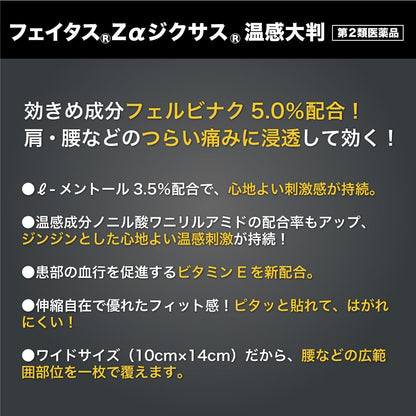 Fates Feitas 5.0 Warm Large Size 20 Sheets [Class 2 OTC Drug] Pain Relief