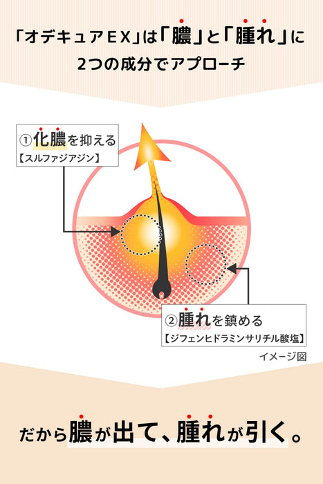 Ikeda Model Hall Odecure Ex 12G [Class 2 OTC Drug]