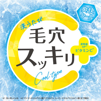 Cleansing Research Wash Cleansing C Cool 3-in-1 Makeup Remover Face Wash Exfoliator