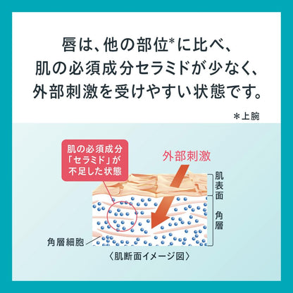 Curel Lip Care Cream Bordeaux - Moisturizing Beautiful Color Lip Treatment