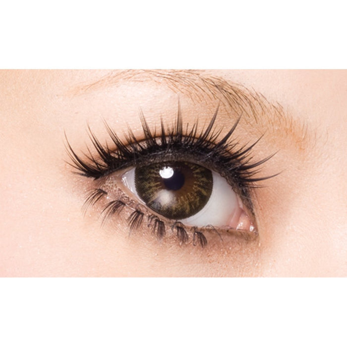 D-Up Eyelash Rich 801 False Eyelashes Black 2 Pairs - Long-Lasting Glam