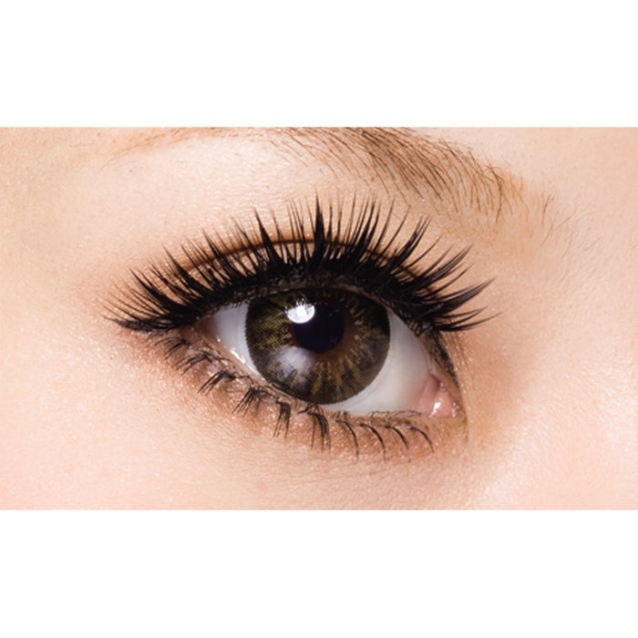 D-Up Eyelash Rich 804 - 2 Pairs Natural Look Eyelashes