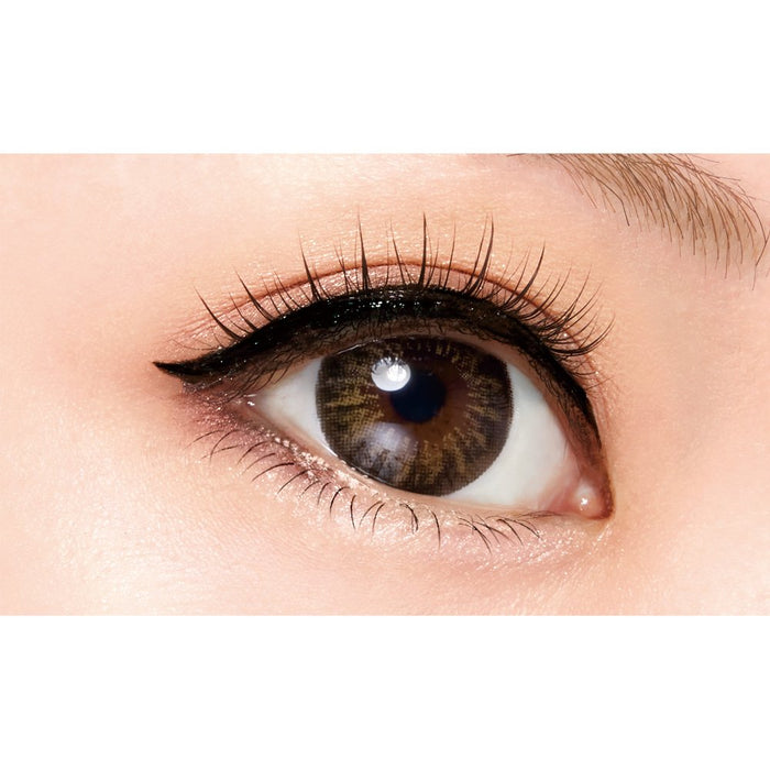 D-Up Eyelash Rich 810 False Eyelashes Black 2 Pairs