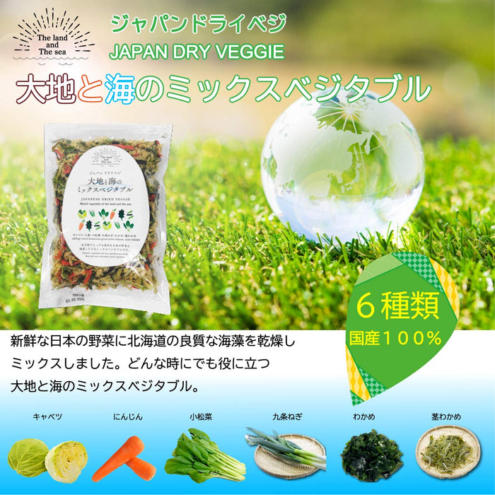 Daihoku Japanese Dried Vegetable and Wakame Seaweed Mix 100G Packet