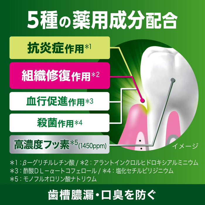 深层清洁药用牙膏 160g - 预防牙周炎和口臭