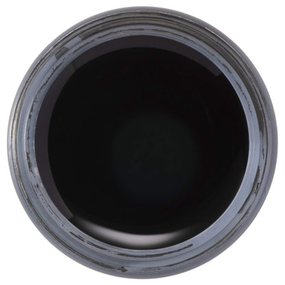 Deleter Ink Black-4 Permanent Drawing Ink - 30ml Quick-Dry Waterproof