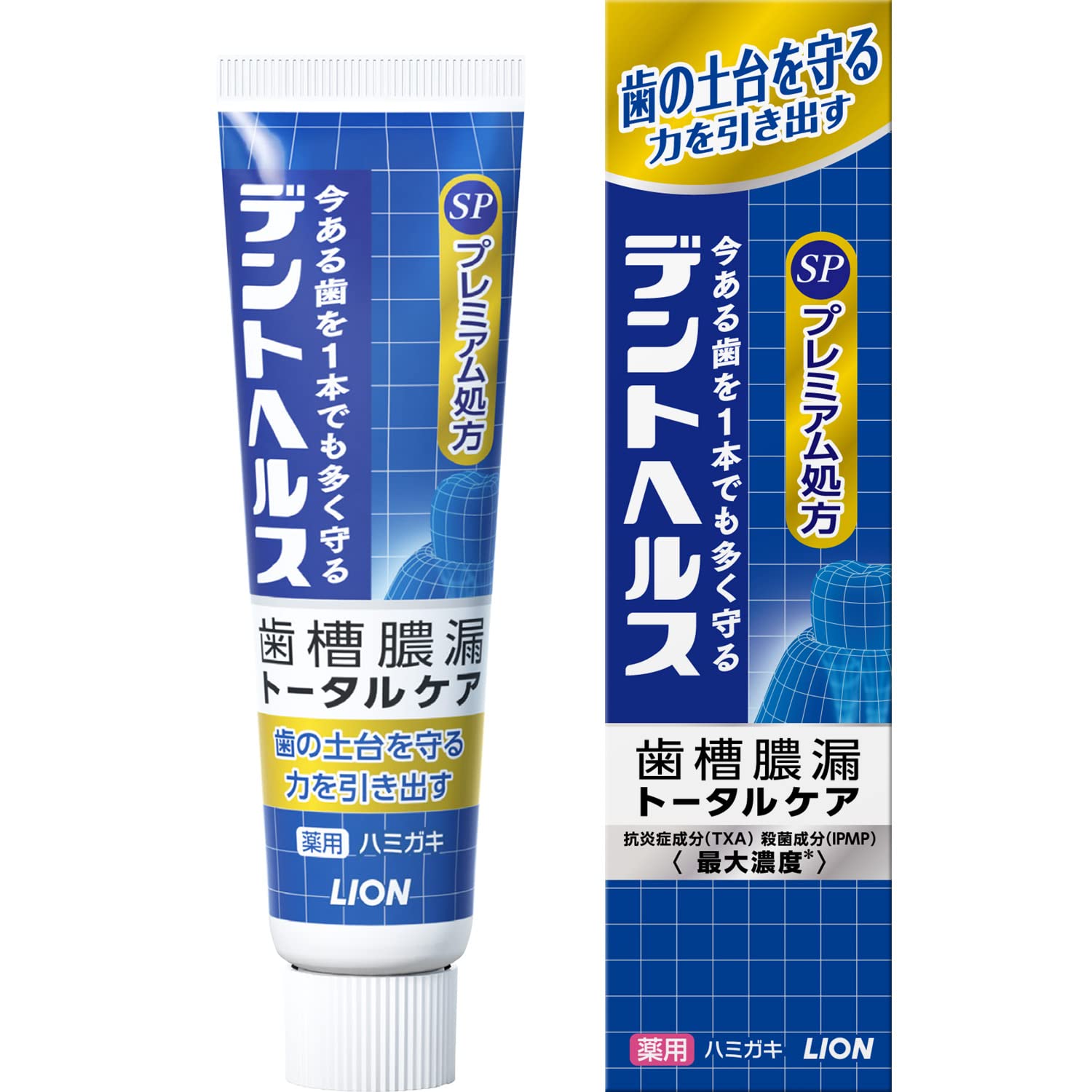 Dent Health Medicinal Toothpaste for Periodontitis Prevention 30G