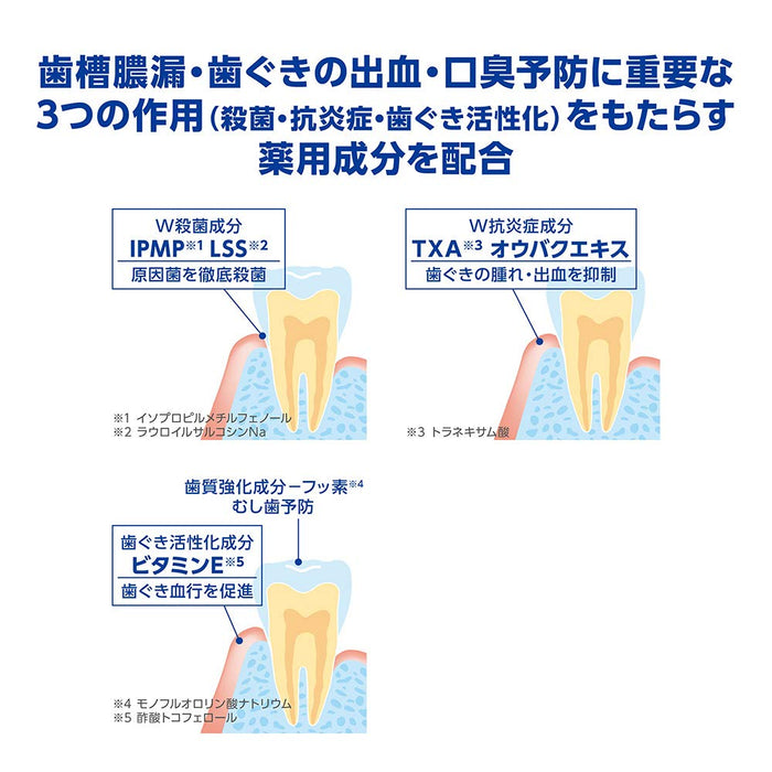 Dent Health Medicinal Toothpaste for Periodontitis Prevention 30G