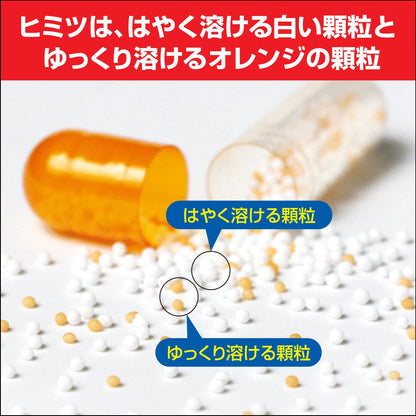 Pablon Pabron Rhinitis Relief Capsules 48ct | Fast-Acting Allergy Support