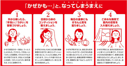 Shionogi Healthcare Pylon Pl Granules 12 Packets | [Class 2 OTC Drug]