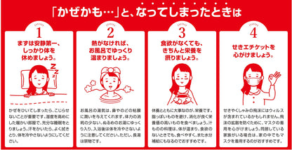 Shionogi Healthcare Pylon Pl Granules 12 Packets | [Class 2 OTC Drug]