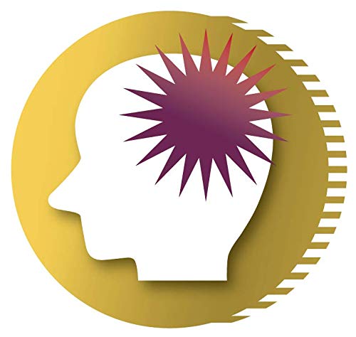 Sedes High G Pain Relief 12 Packets [Class 2 OTC Drug]