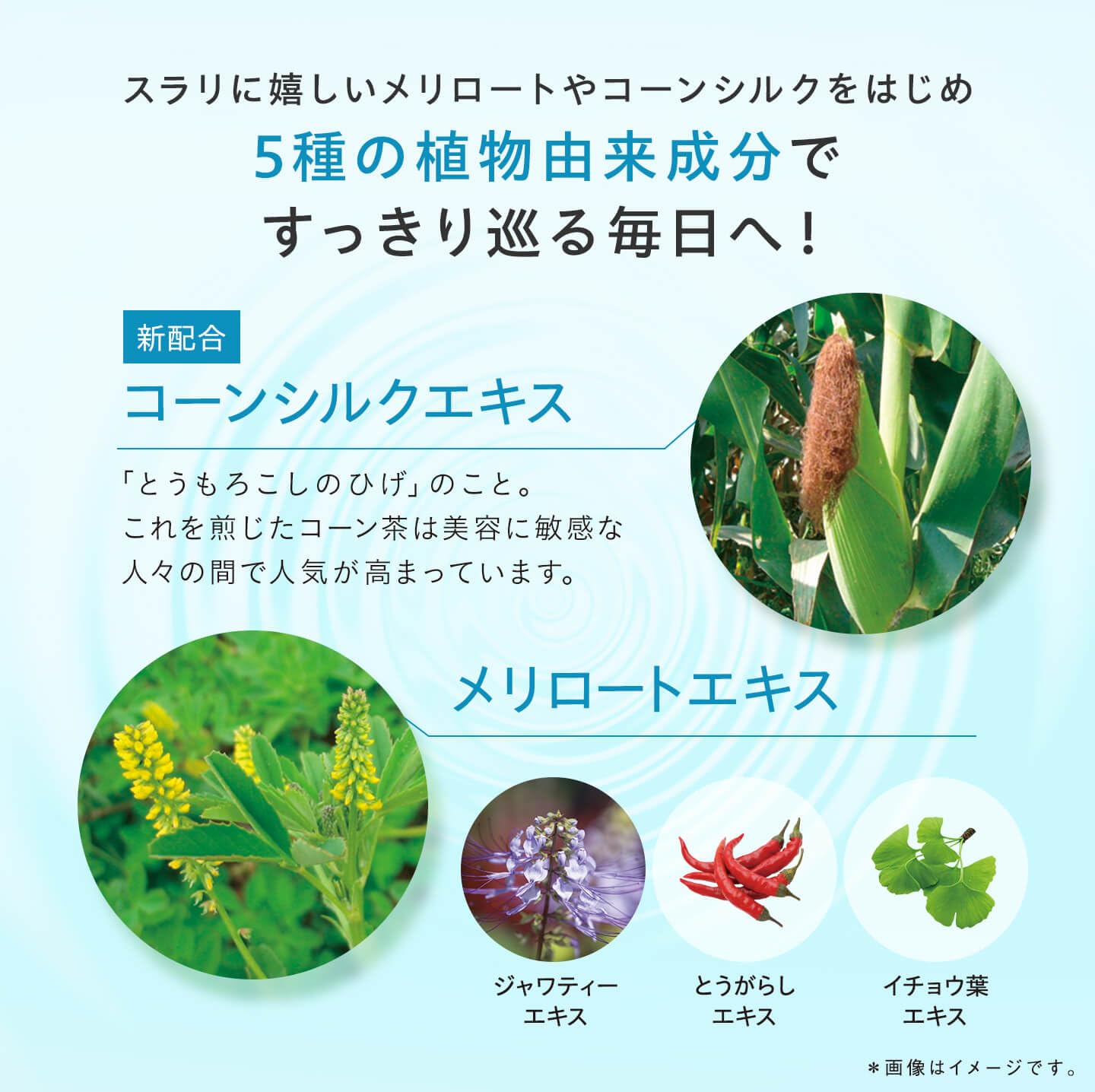 Dhc Melilot Plus 30天補充品 - 天然草本支持