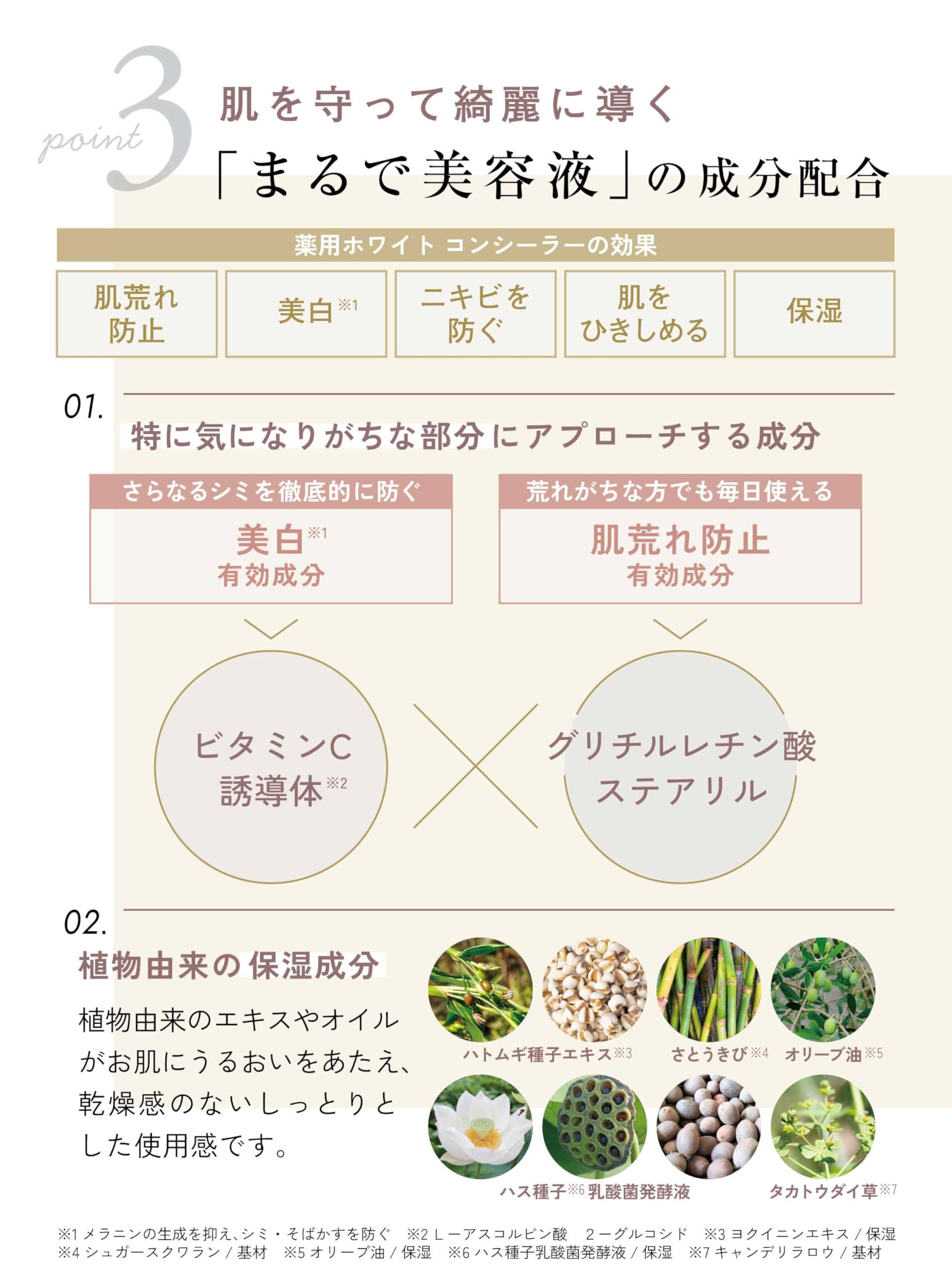 EX:BEAUTE Medicated White Concealer for Dark Spots & Circles Natural Finish