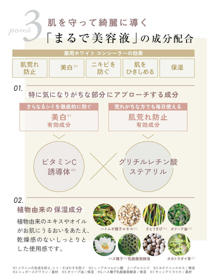 EX:BEAUTE Medicated White Concealer Natural Finish High Coverage 1 Bottle