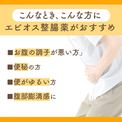 Ebios Intestinal Medicine 504 Tablets with Lactic Acid Bacteria