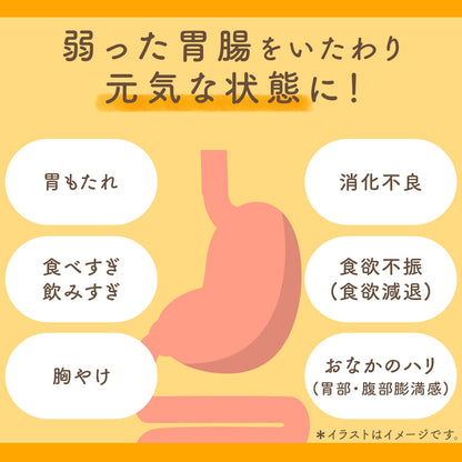 Ebios Gastrointestinal and Nutritional Supplement 600 Tablets