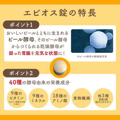 Ebios Gastrointestinal and Nutritional Supplement 600 Tablets