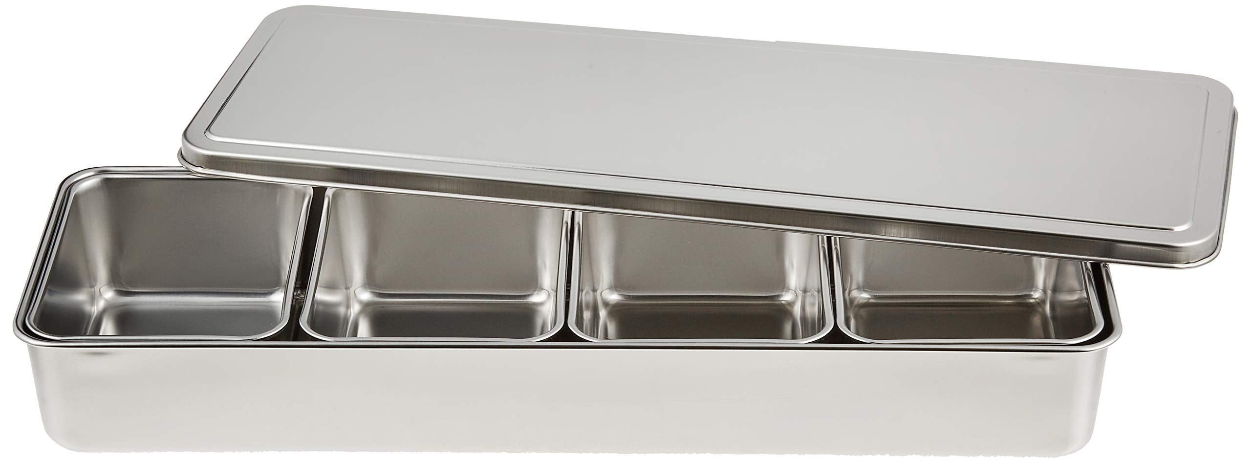 Endo Shoji Tkg 4-Piece Stainless Steel Condiment Container Set 435x145x60mm