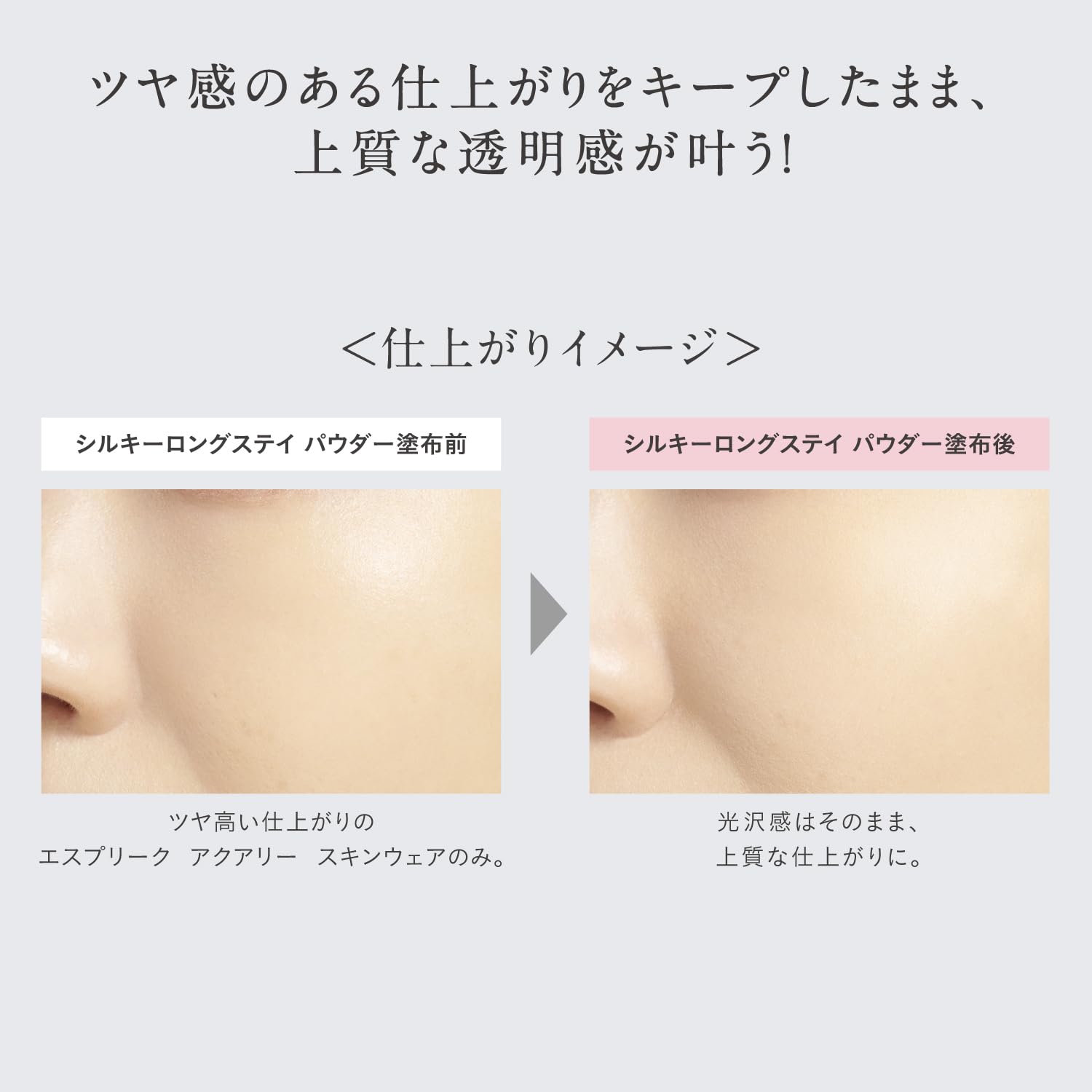 Esprique Silky Long Stay Powder 00 Lucent 6G Refill Moisturizing Face Powder