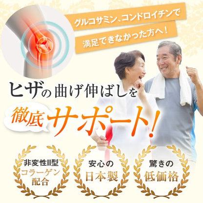 Fine Japan Glucosamine Functional Food with Type II Collagen 250 Tablets